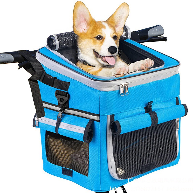 https://fulmo-img-server.com/inukaban/4788a802-c2e2-49aa-b19d-61570c9b2d9d.jpg