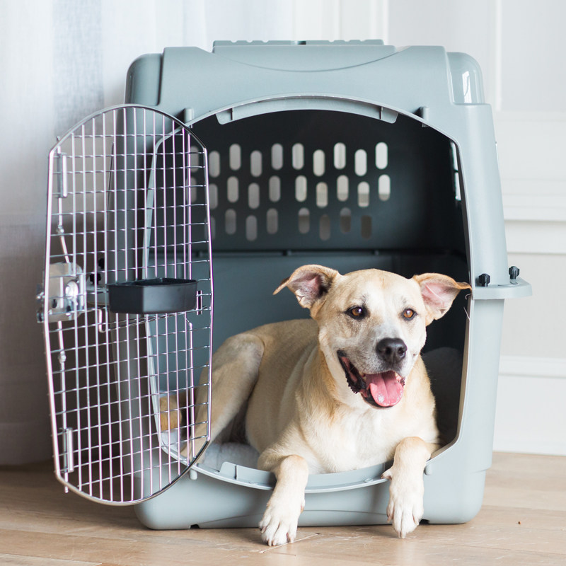 犬バッグ 大型犬対応航空機基準ハードキャリーケース