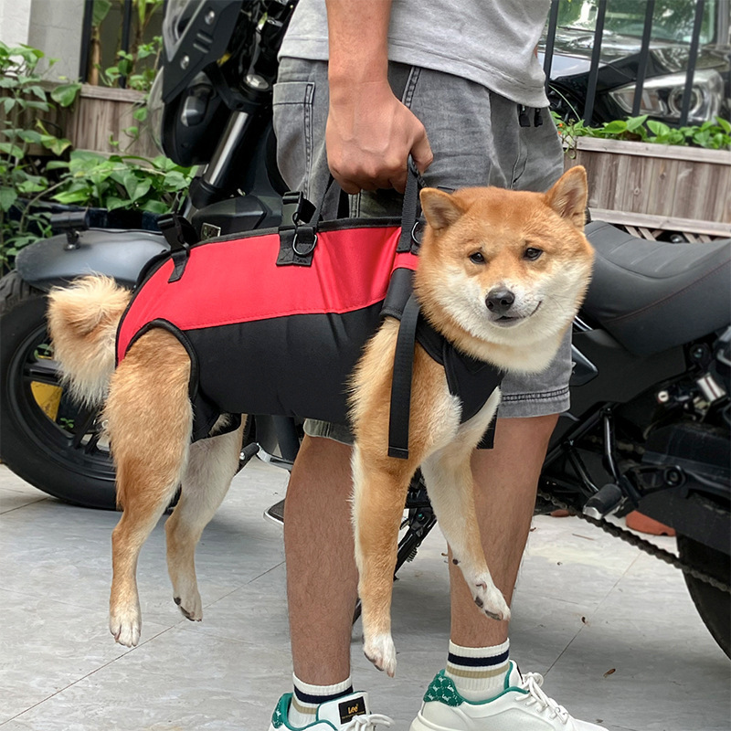 犬バッグ 愛犬用抱っこハーネス付き犬バッグ お散歩キャリー