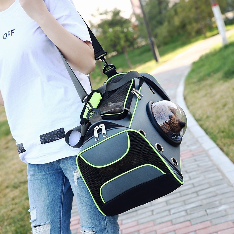 https://fulmo-img-server.com/inukaban/a08a58cc-6171-4ba1-aa0a-ba74f7c53eed.jpg