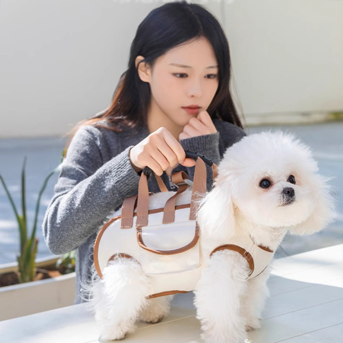 https://fulmo-img-server.com/inukaban/a29646db-fc09-43c9-85d1-29806a2caded.jpg