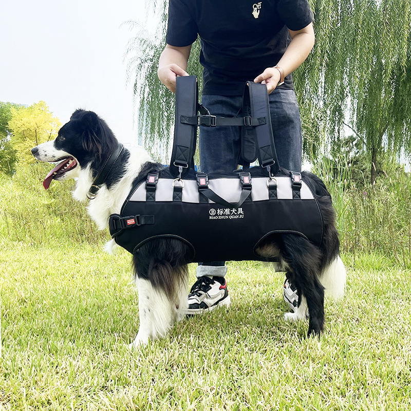 犬バッグ 中型犬用背負い式歩行補助犬バッグ