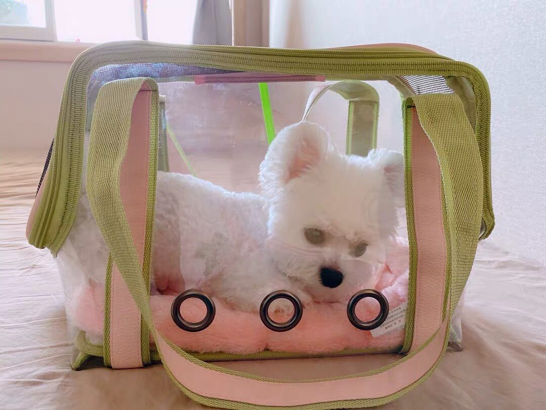 犬バッグ 透明窓付き通気性抜群ペットキャリートート