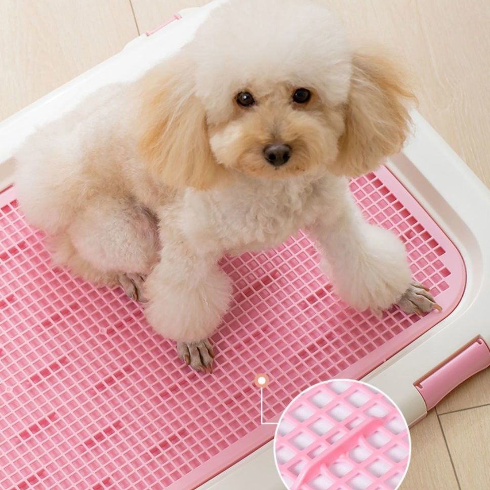 犬のトイレ用品おすすめ5選！室内でも清潔を保ちやすい