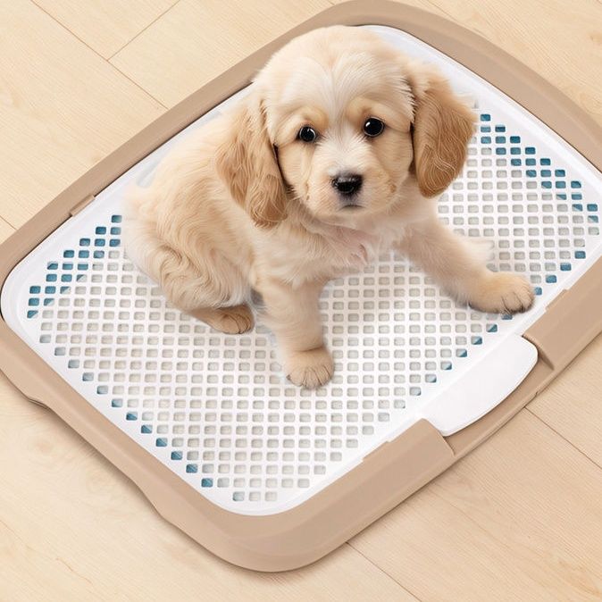 トイプードル向けトイレおすすめ5選！小柄な体に合ったサイズで失敗を減らせる