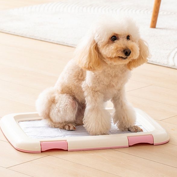 犬のおしっこトレーおすすめ5選！においや汚れが広がりにくくお手入れも簡単