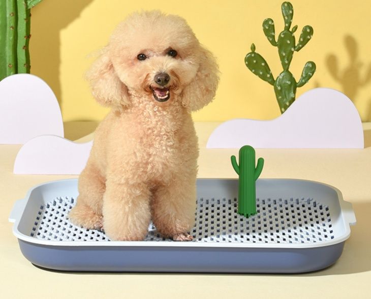 犬トイレ サボテン柱付き分離式洗える犬トイレ