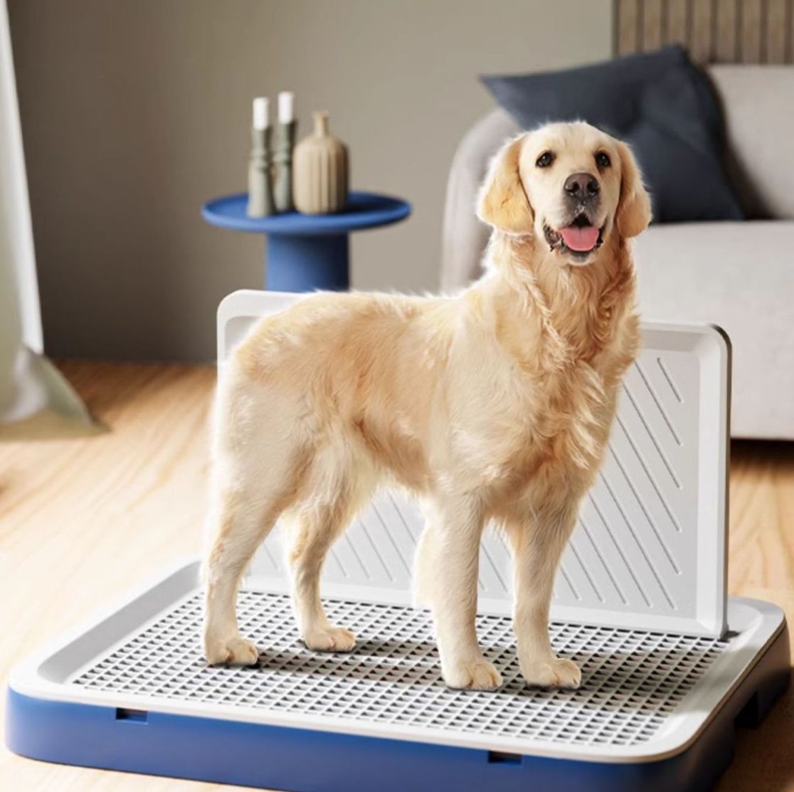 オス犬用のトイレトレー5選！足濡れしなくてお手入れもラクラク