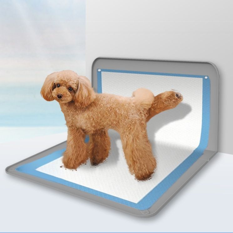 オス犬用トイレおすすめ5選！マーキング対策ができて飛び散りも防げる