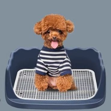 犬トイレ 水洗い簡単メッシュ付き犬用トイレトレー