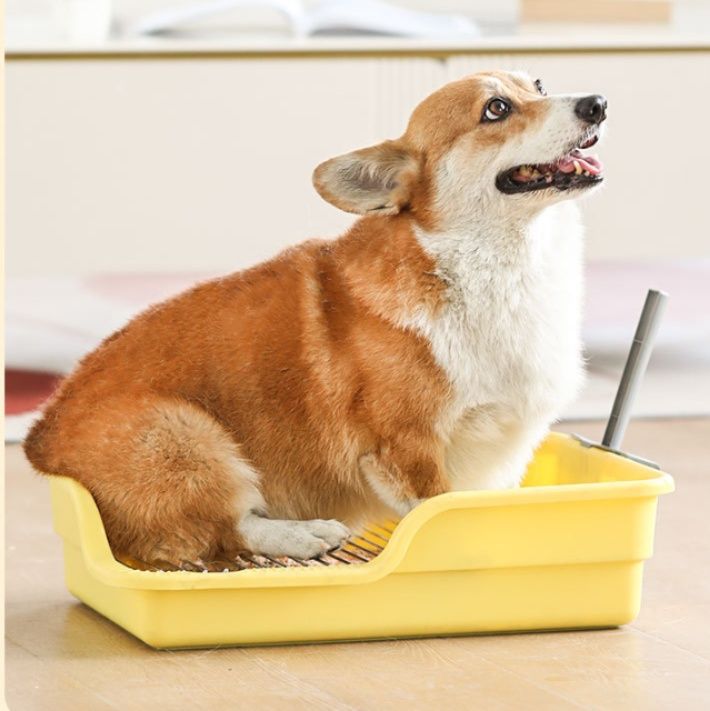 犬トイレ 高床式犬用トイレトレーニングセット