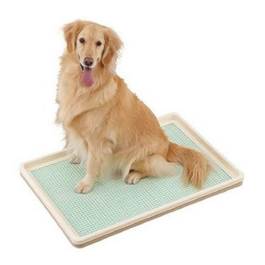 大きい犬のトイレおすすめ5選！はみ出しにくくお掃除の負担も軽減できる