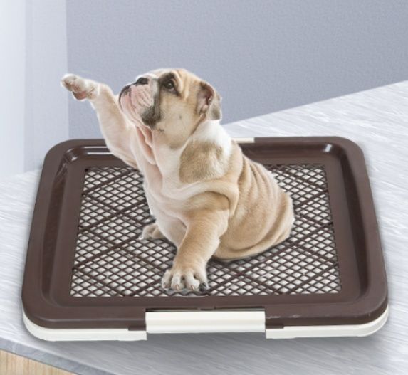 犬トイレ メッシュ二層式犬用トイレトレー