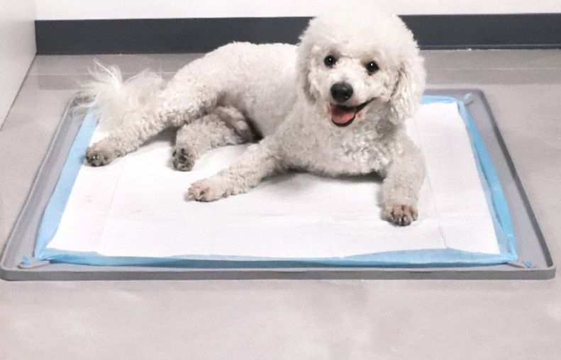 犬トイレ 固定式トレー付き犬用トイレマット