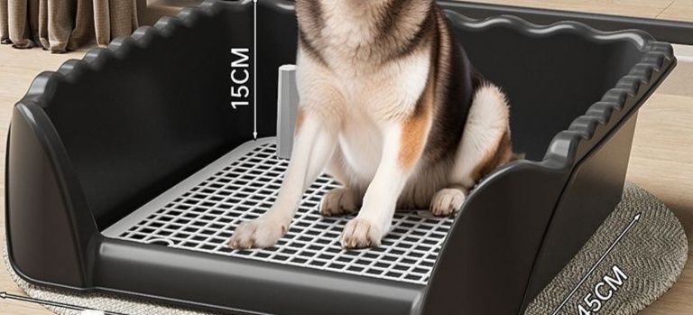 犬トイレ 大型犬対応高壁囲い付き網目床面犬用トレー