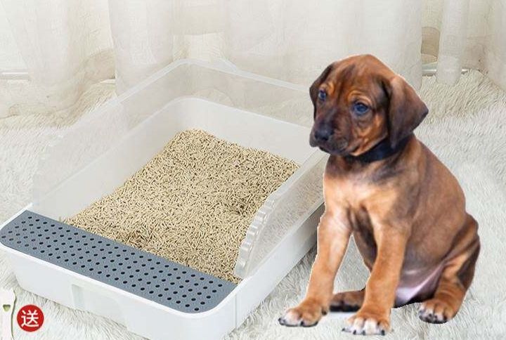 犬トイレ 半密閉式高囲栅付き犬用トイレトレー