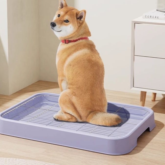 大型犬用格子網付き室内犬トイレトレー