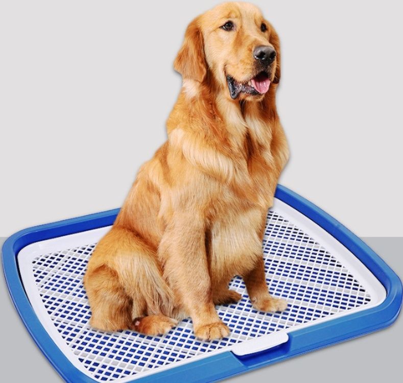 犬トイレ 網目付き大型固定柱付き多頭飼い対応
