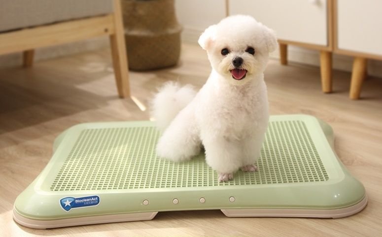 犬トイレ 小型犬メッシュ付き平トレー