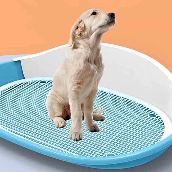 犬トイレ 犬用洗えるトレー型トイレ 飛び散り防止壁付き