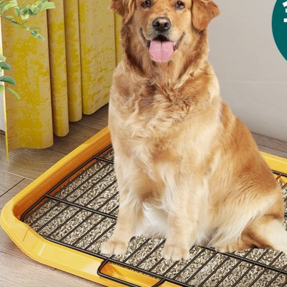 犬トイレ 大型犬対応 金属格子付き洗える犬トイレトレー