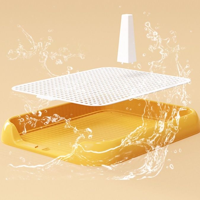 https://fulmo-img-server.com/inutoily/1783144040044_smrzylo4_uerqeojz.jpeg