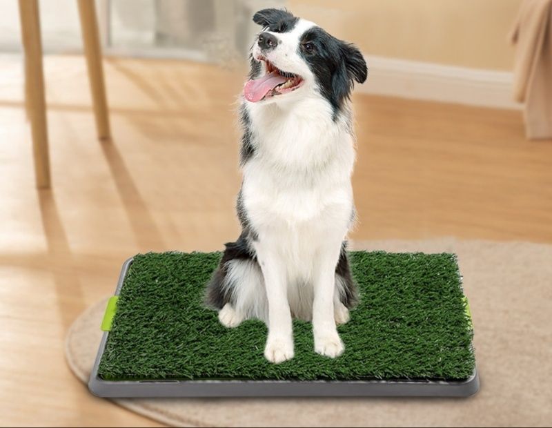 三層人工芝トレー付き洗える犬用トイレマット