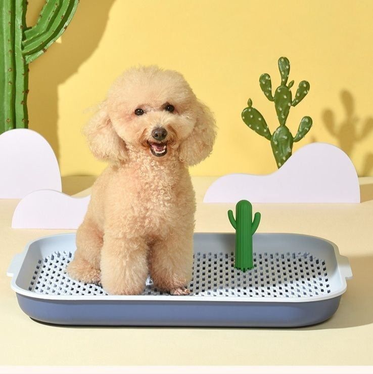 犬トイレ 片手で開閉できるサボテン付き犬トイレトレー