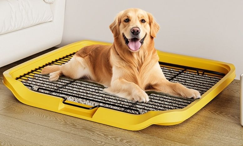 犬トイレ 大型犬対応メッシュ消臭トレー付き