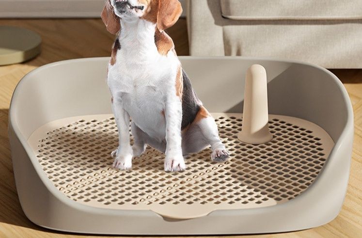 犬トイレ 大型犬対応 囲い付き広々犬用トイレトレー