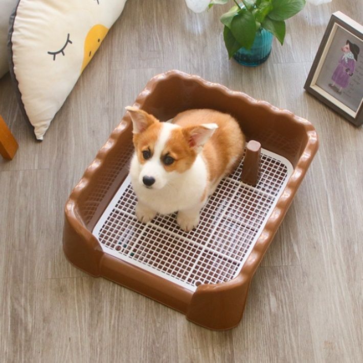 犬トイレ トレー消臭対応3方囲い メッシュ付き