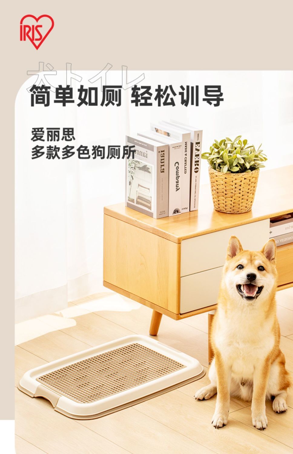 https://fulmo-img-server.com/inutoily/3130a2e4-ef4c-4019-84e1-123387ec146e.jpg