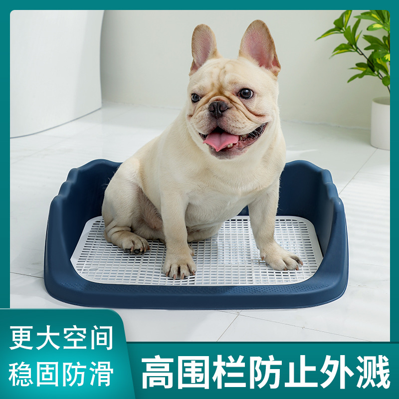 https://fulmo-img-server.com/inutoily/4d268003-0e02-48fd-bb4d-a721b0749cb5.jpg