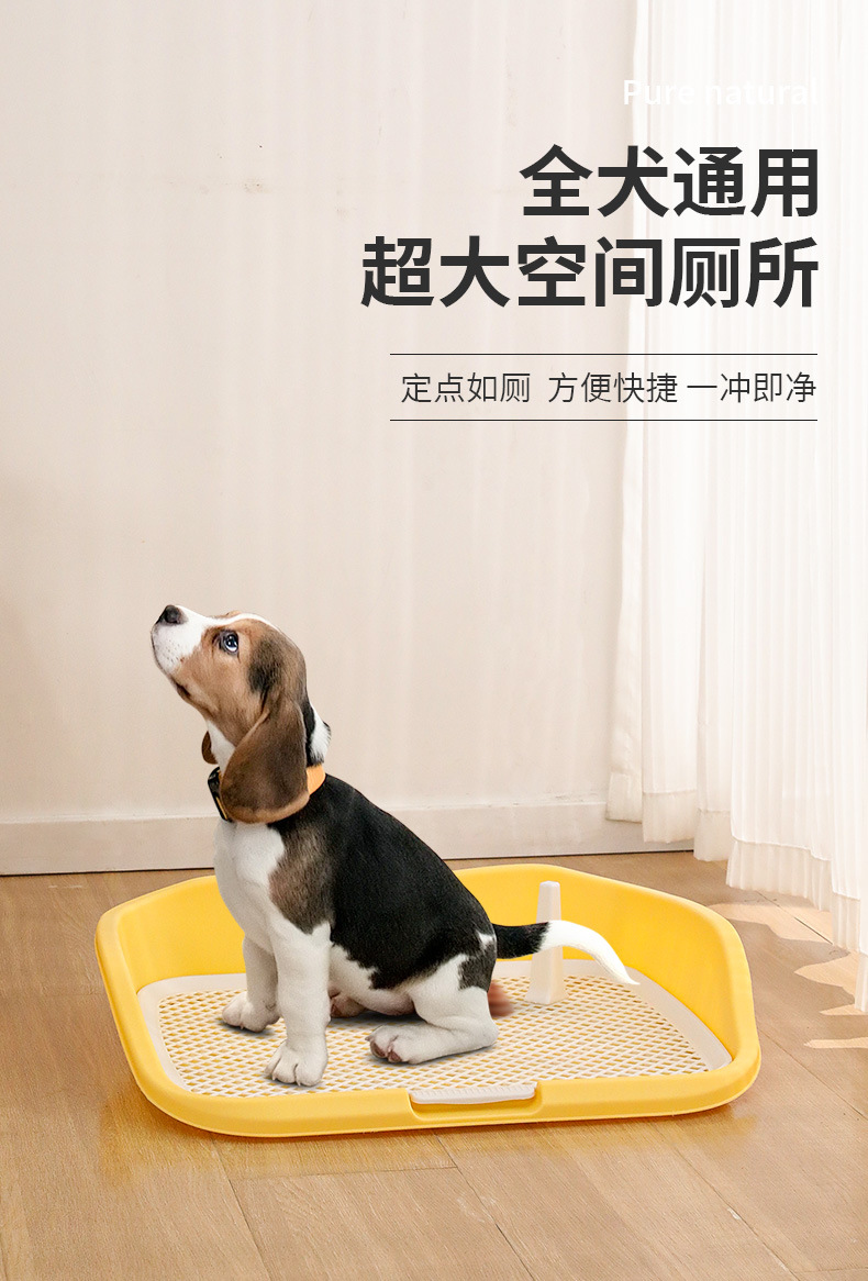 https://fulmo-img-server.com/inutoily/58f38521-5827-4da3-9a0c-200d0f3590af.jpg