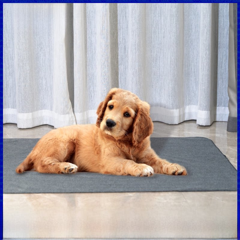 犬トイレ 防水仕様の速乾吸収犬トイレ用マット