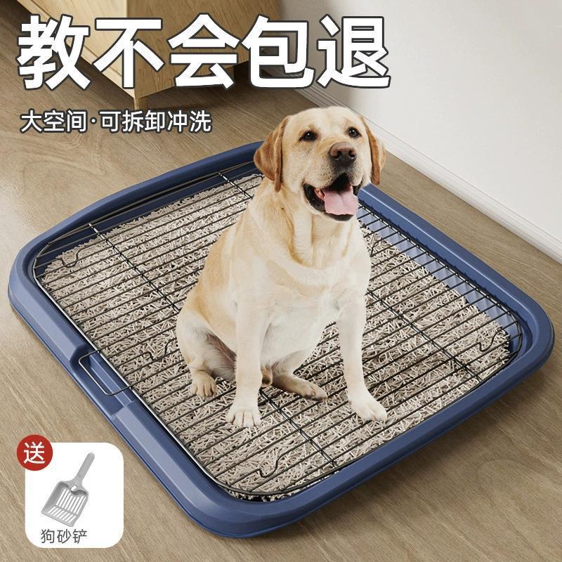 https://fulmo-img-server.com/inutoily/6dd4b247-c2c5-4d67-b4f0-c9749a7a2f15.jpg