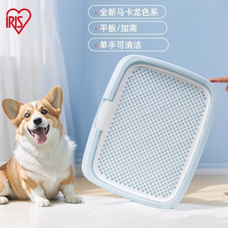 https://fulmo-img-server.com/inutoily/837ac13e-c171-4591-a61d-1359de1cd002.jpg