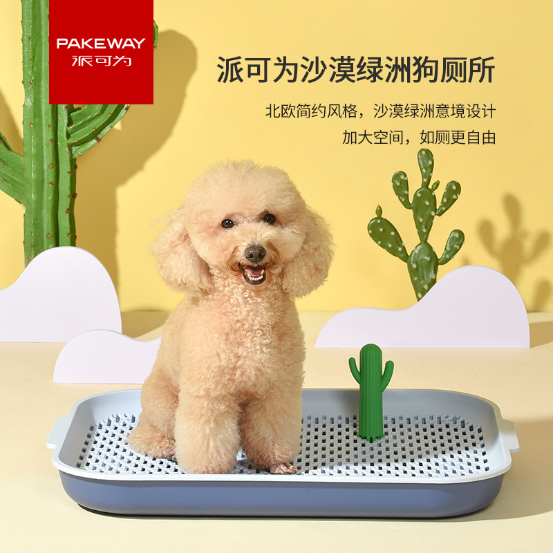 https://fulmo-img-server.com/inutoily/83fe7183-b99c-4e39-9b05-d89f5f62b260.jpg