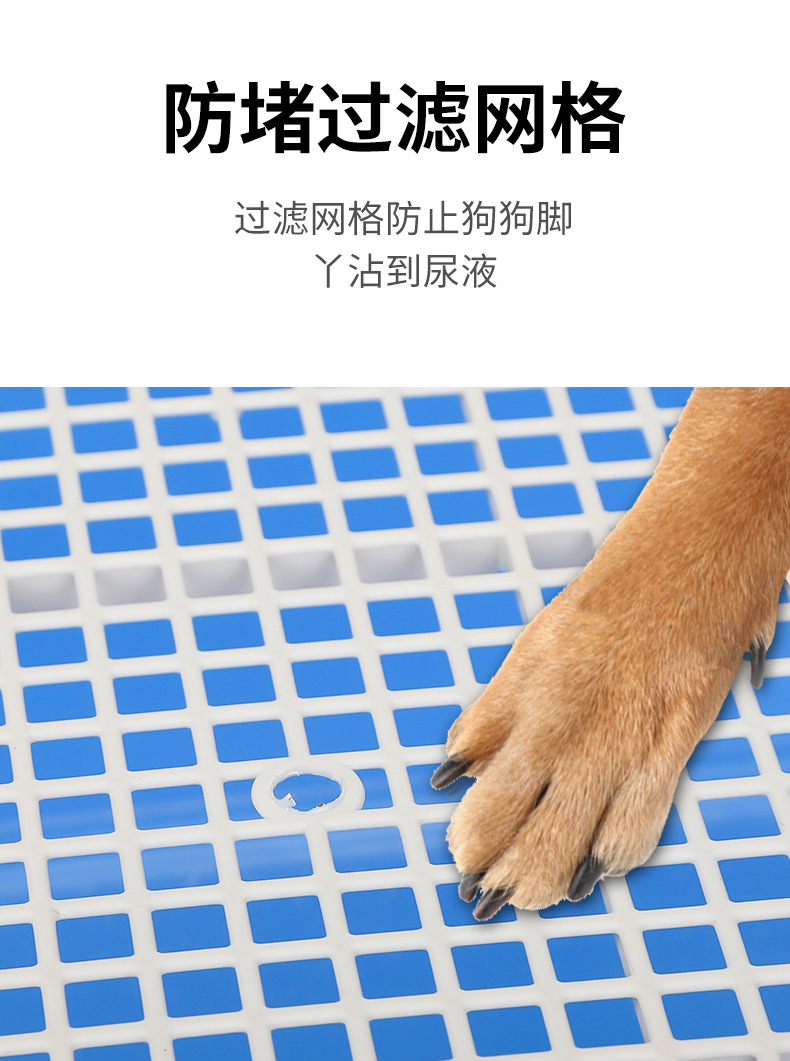 https://fulmo-img-server.com/inutoily/889be84c-80a9-4cc5-ab71-f850bc9e12d1.jpg