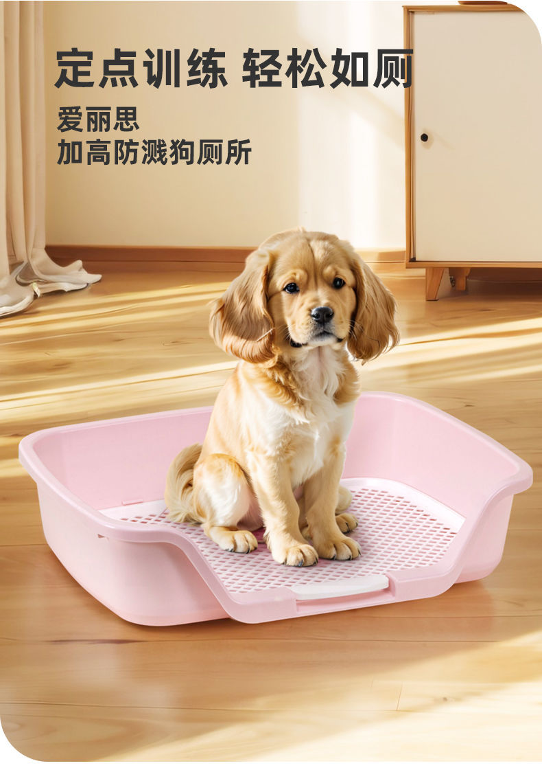 https://fulmo-img-server.com/inutoily/a756d3cd-41d8-4a58-93a4-dcd5f0f5e9f3.jpg