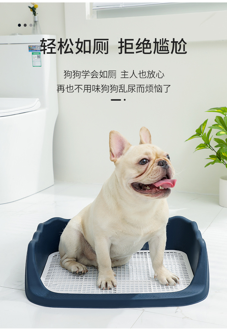 https://fulmo-img-server.com/inutoily/ae44c4c3-7829-4c53-adb8-63c3d93dbb57.jpg