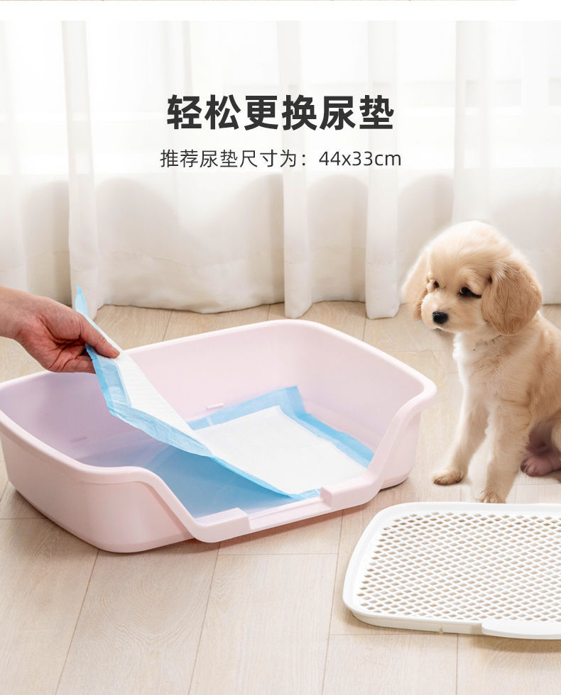 https://fulmo-img-server.com/inutoily/b5a64ce9-a1a7-4fd7-857b-163861a5f02a.jpg