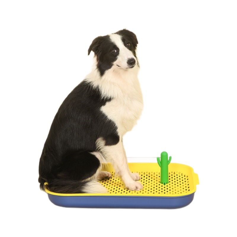 サボテン付き洗える犬トイレトレー