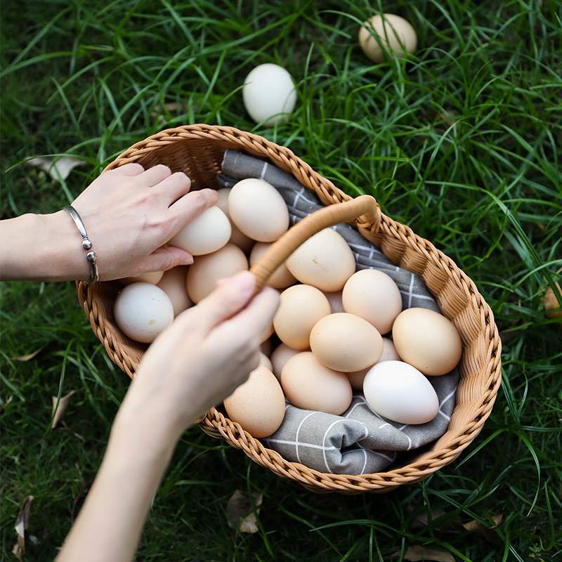 カゴバッグ 天然素材編み込みハンドバッグ型カゴバッグ