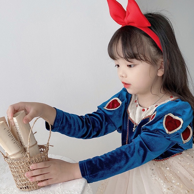 こどもコスプレ おとぎ話の森 お姫様なりきりドレス