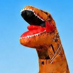 https://fulmo-img-server.com/kigumoka/1788938743279_nndmidwj_8eoyeg36.jpeg