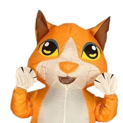 https://fulmo-img-server.com/kigumoka/1788943229029_r0jgyogu_92l2jicl.jpeg