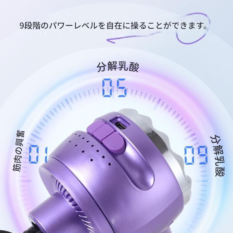 https://fulmo-img-server.com/kinmaku-roller-factory/1780106487881_qauwywu9_imydwzgy.jpeg
