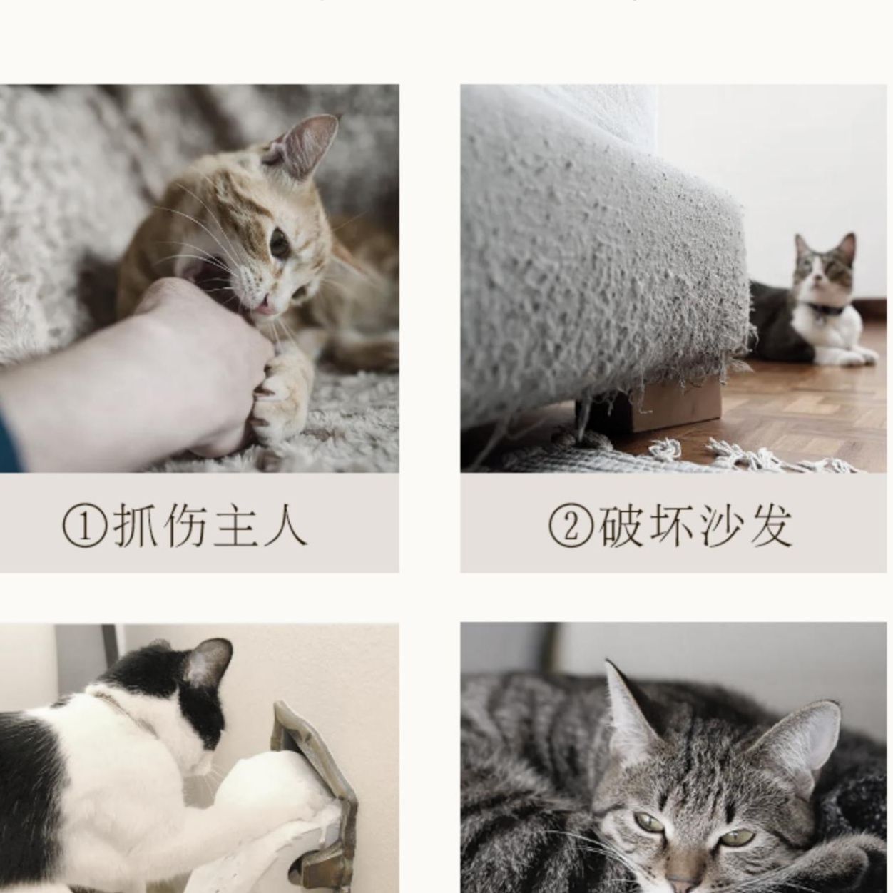拭けて洗える！防猫抓デザインでペットにも優しいおしゃれキッチンマット
