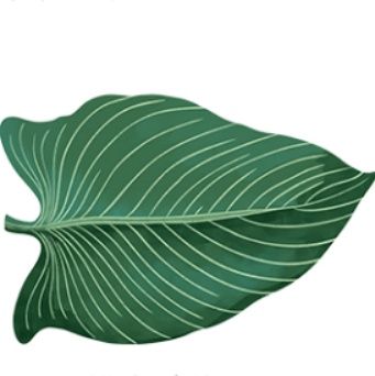 https://fulmo-img-server.com/kitchen-mart/1759276323416_ocsna8wq_9p8hxue6.jpeg